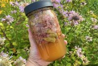 Bee Balm Oxymel: How to Make and Use Monarda Herbal Vinegar