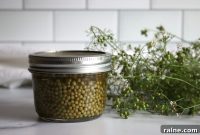 Pickled Green Coriander Seeds (Unripe Cilantro Seeds) Recipe