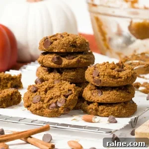Vegan Gluten-Free Pumpkin Chocolate Chip Cookies 7 Your new Go-To easy Chocolate Chip Gluten Free Vegan Pumpkin Cookies recipe with oat & almond flour, pumpkin, cinnamon, and chocolate chips.