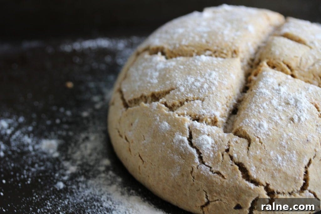 Gluten-Free Vegan Bread Machine Recipe: Soft Loaf Guide 9 Super easy Moroccan spiced soda bread this is wholegrain whilst being gluten-free, dairy-free and egg-free. The recipe uses the Free From Fairy's wholegrain gluten-free flour blend available to buy via her website.