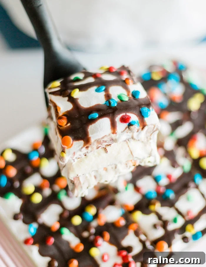 Slice of Ice Cream Sandwich Cake