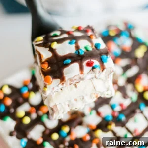 Slice of Ice Cream Sandwich Cake
