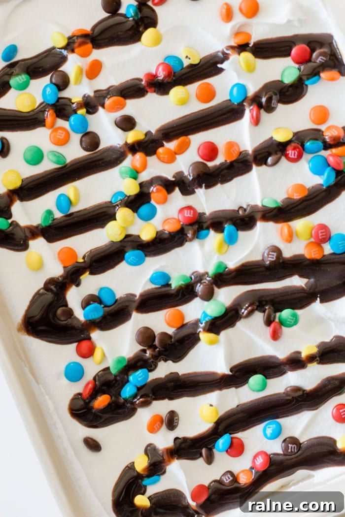 Chocolate drizzle on ice cream sandwich dessert