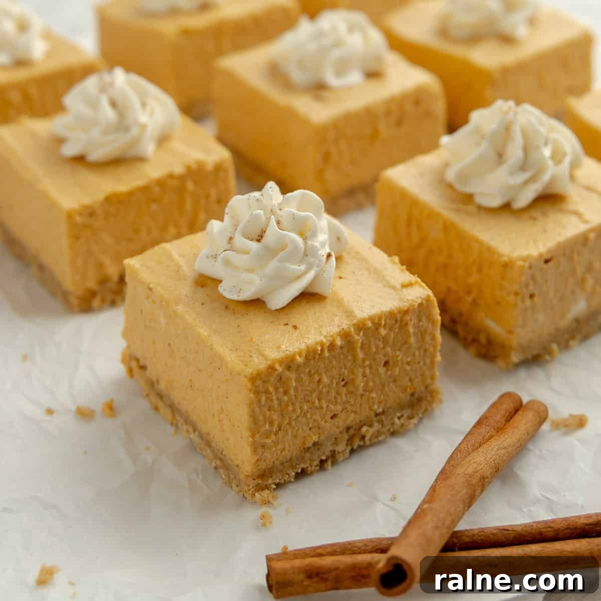A group of pumpkin cheesecake squares topped with whipped cream. Cinnamon sticks on the side.