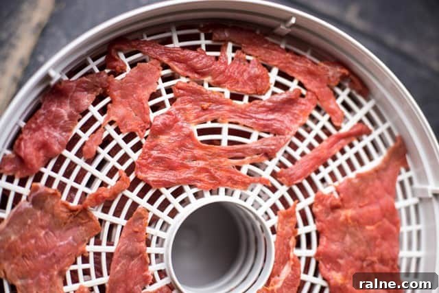 Making salt and pepper beef jerky in a dehydrator Salt and Pepper Beef Jerky in a dehydrator