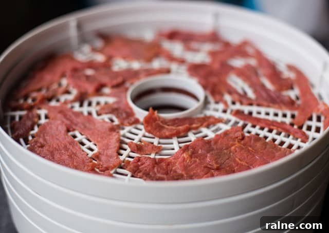 Making beef jerky using a dehydrator Salt and Pepper Beef Jerky in a dehydrator