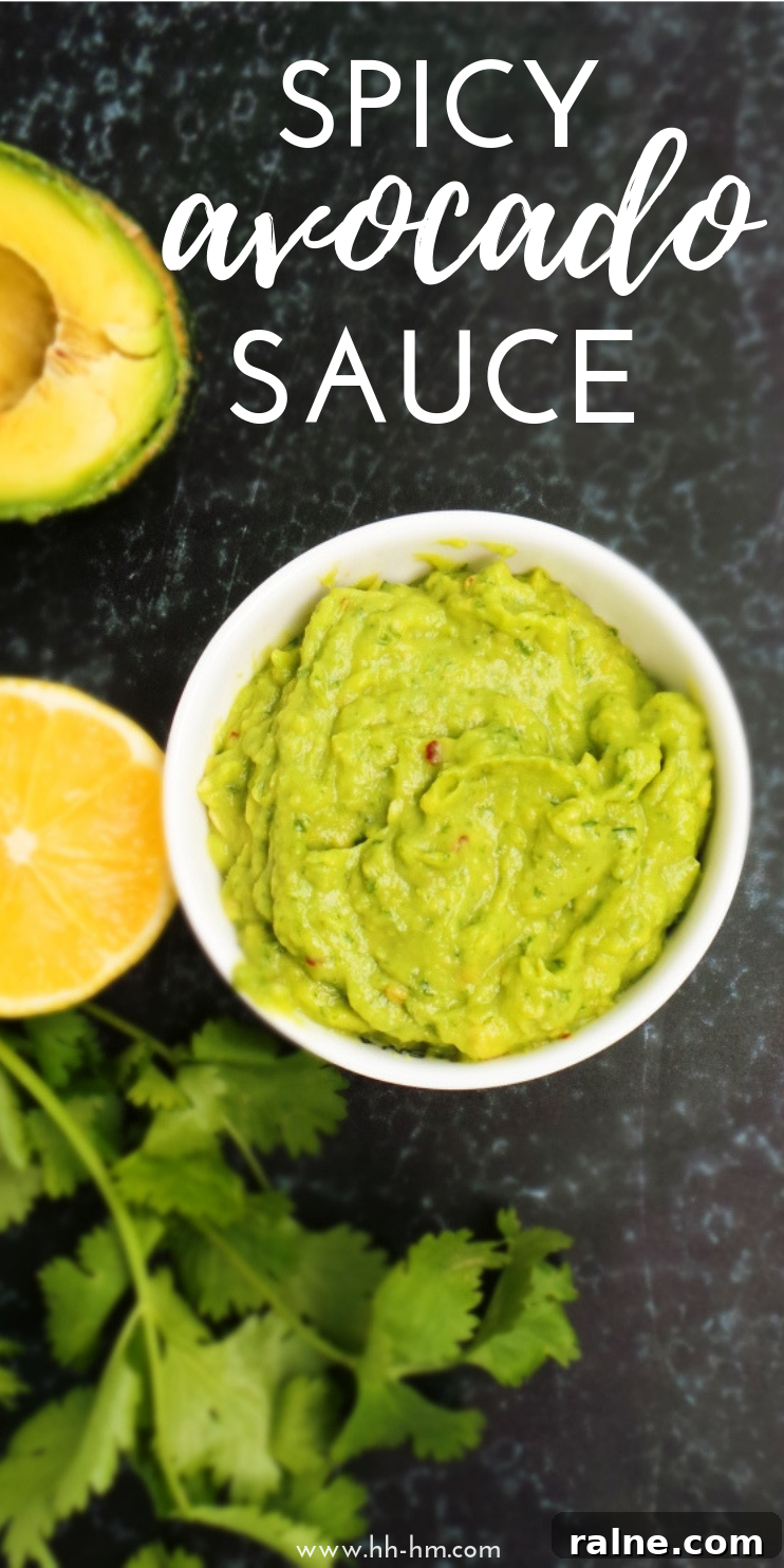 You only need 5 minutes to make this amazing spicy avocado sauce that is vegan, gluten-free and paleo! This tasty healthy avocado recipe is perfect for wraps, burgers or bowls!