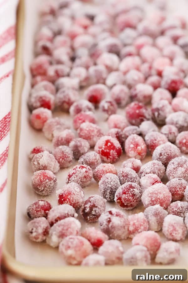 How to Make Sugared Cranberries for Festive Cocktails and Desserts 2 Candied cranberries on parchment paper - an easy candied cranberry recipe that uses just a few ingredients.