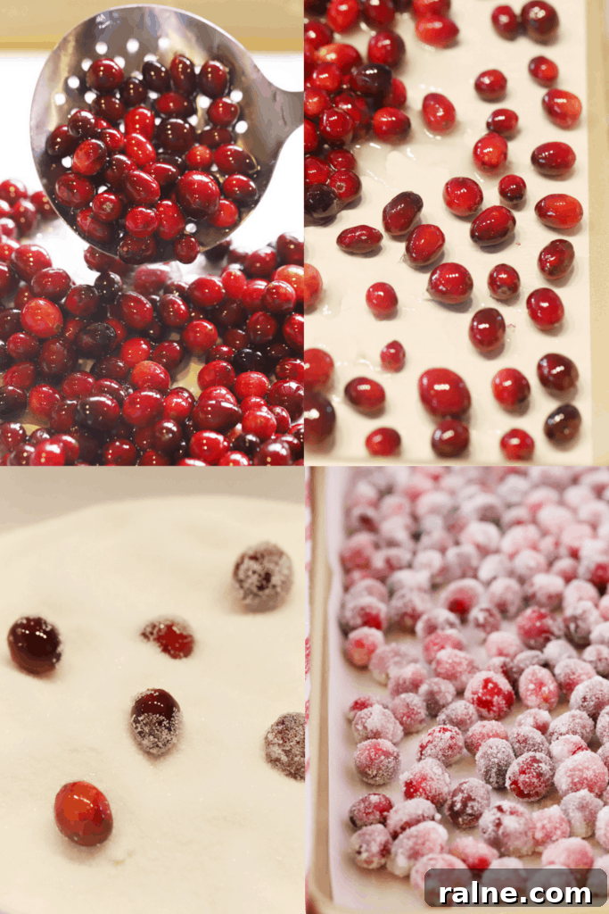 How to Make Sugared Cranberries for Festive Cocktails and Desserts 3 how to make sugared cranberries, the best sparkling cranberries to use as garnish or cranberry candies.