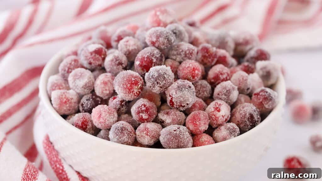 How to Make Sugared Cranberries for Festive Cocktails and Desserts 4 Sugar cranberries in a white serving bowl, this recipe will show you how to sugar cranberries.