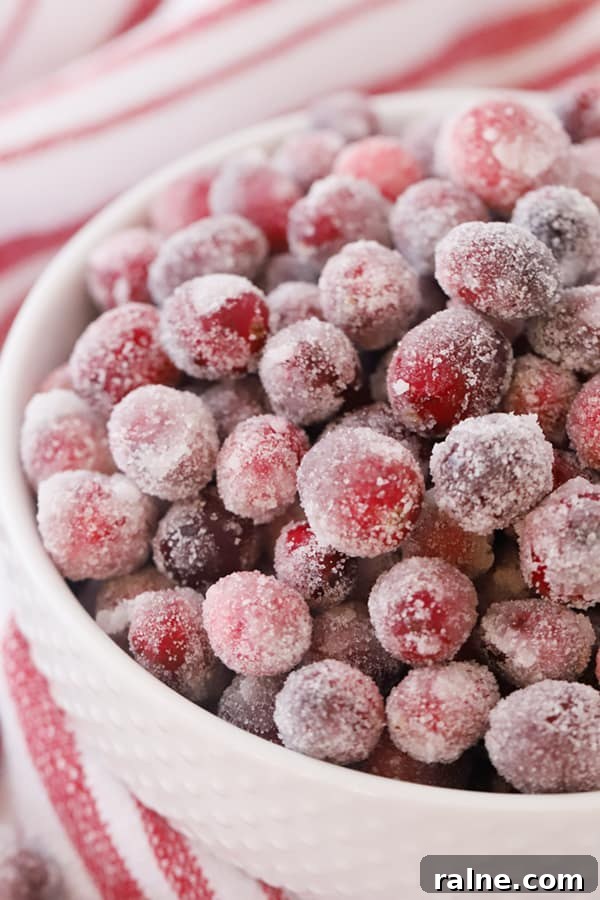 How to Make Sugared Cranberries for Festive Cocktails and Desserts 5 edible sugared cranberries for garnish, candied cranberries recipe, cranberry candy. candied cranberry recipe, sugar cranberries.