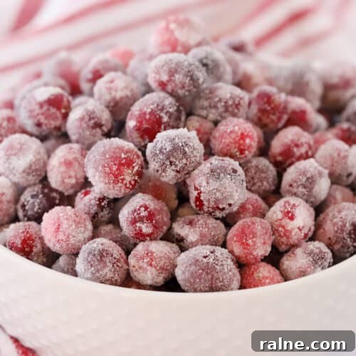 How to Make Sugared Cranberries for Festive Cocktails and Desserts 6 sugared cranberries