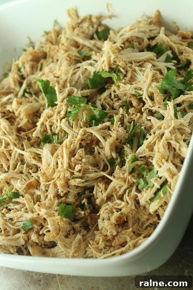 cilantrolimechicken2