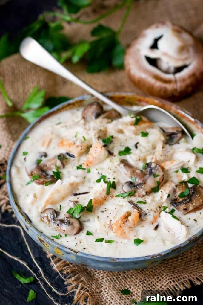 Chicken, Wild Rice & Mushroom Soup - The most comforting creamy soup ever! Savory mushrooms are the perfect veggie for this rich wild rice soup with succulent chicken.