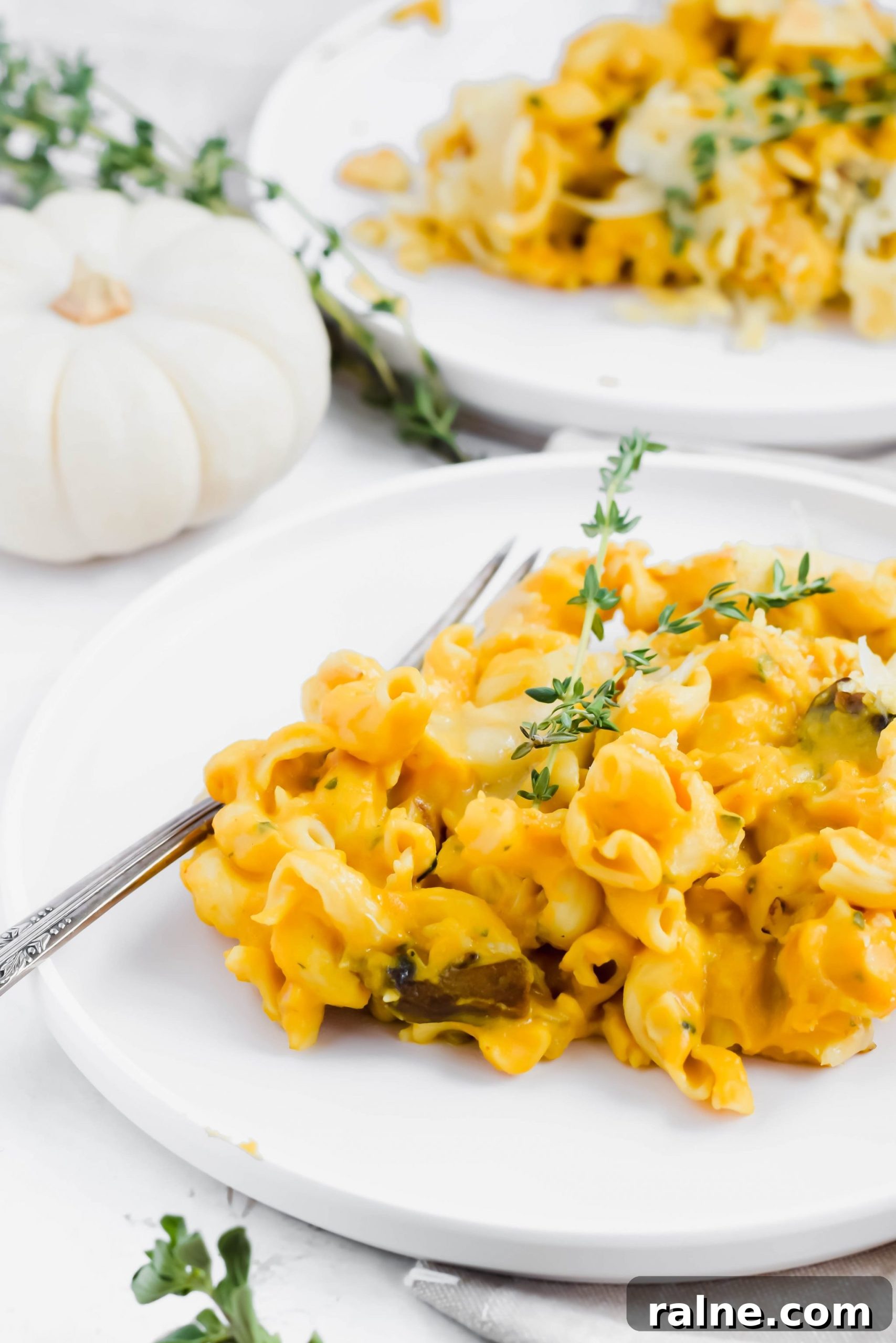 single serving of Trader Joe's Butternut Squash Mac and Cheese garnished with fresh thyme on top.