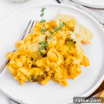 single serving of Trader Joe's Butternut Squash Mac and Cheese garnished with fresh thyme on top.