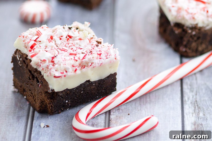 White Chocolate Peppermint Brownies Recipe - Fudgy, rich, and decadent White Chocolate Peppermint Brownies make a festive and delicious holiday treat with a fudgy brownie, white chocolate, and crushed candy canes. A perfect festive and easy Christmas dessert and treat!