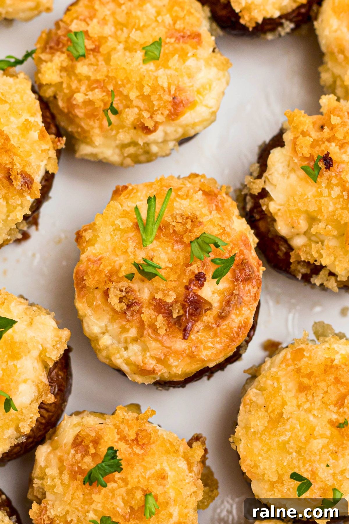 Cheesy Garlic Stuffed Mushrooms with Herb Breadcrumbs 10 Close up image of stuffed mushrooms with parsley sprinkles garnish.