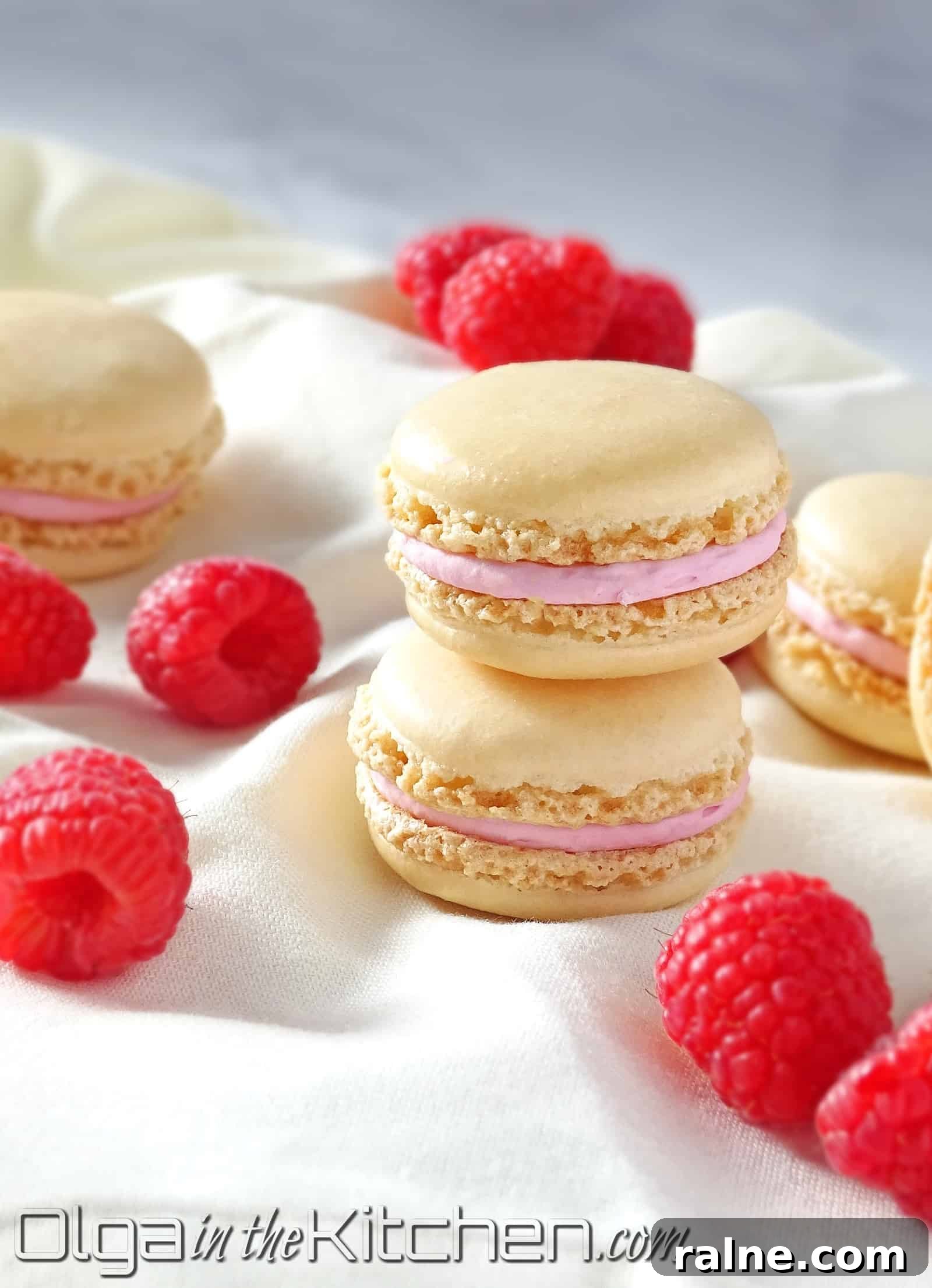 Macarons with Raspberry Filling: sweet and tangy, melt-in-your-mouth pastry.