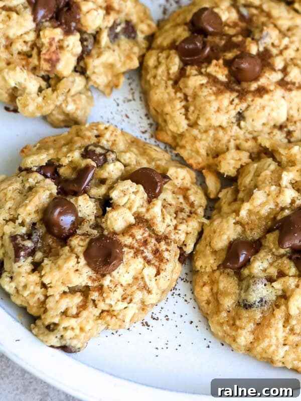 No-Bake Peanut Butter Cheerio Bars Recipe 10 cookies up close on a white plate with chocolate.