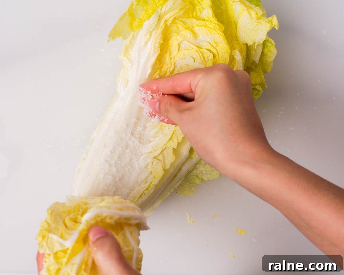 Napa Cabbage Kimchi Recipe: Authentic Homemade Kimchi Guide 12 Salting the napa cabbage layer.
