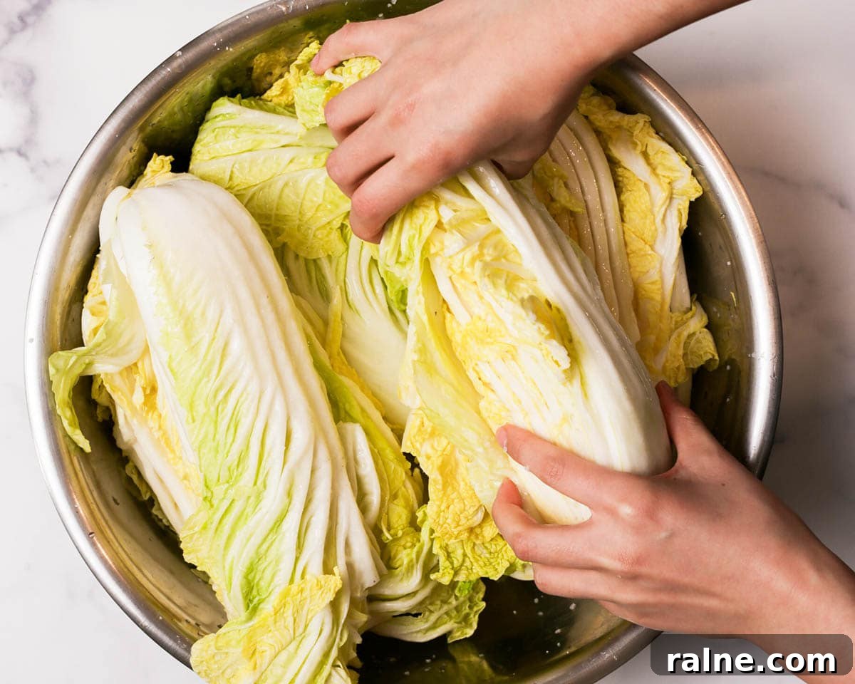 Napa Cabbage Kimchi Recipe: Authentic Homemade Kimchi Guide 14 Flipping the salted napa cabbage in bowl.