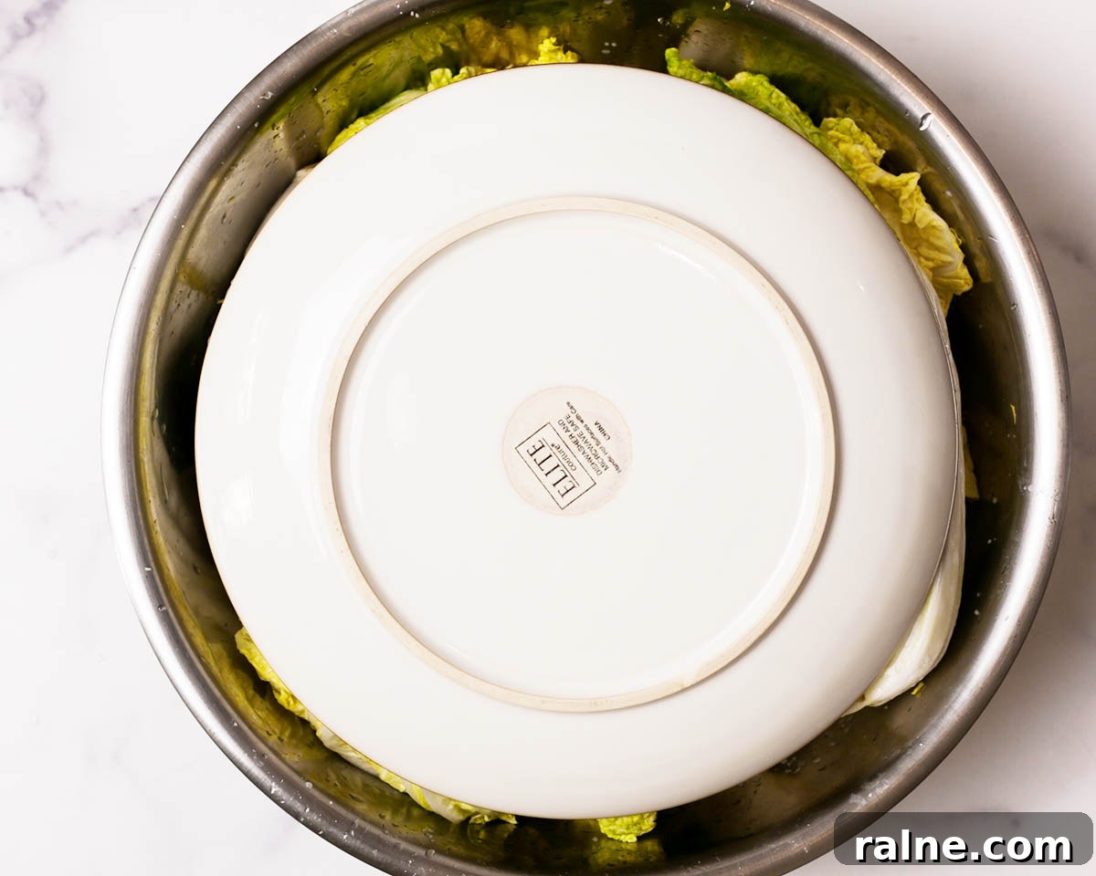 Napa Cabbage Kimchi Recipe: Authentic Homemade Kimchi Guide 15 Placing a plate on top of salted napa cabbage.