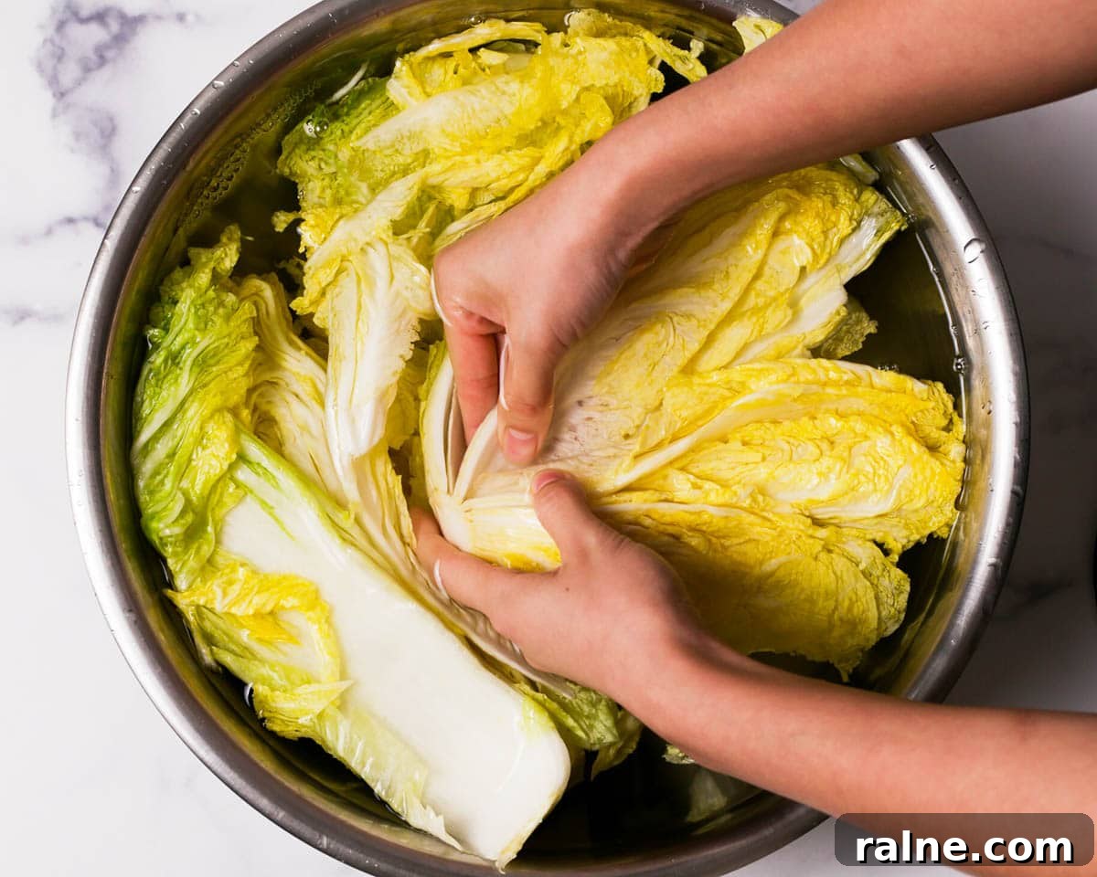 Napa Cabbage Kimchi Recipe: Authentic Homemade Kimchi Guide 23 Rinsing the napa cabbage.