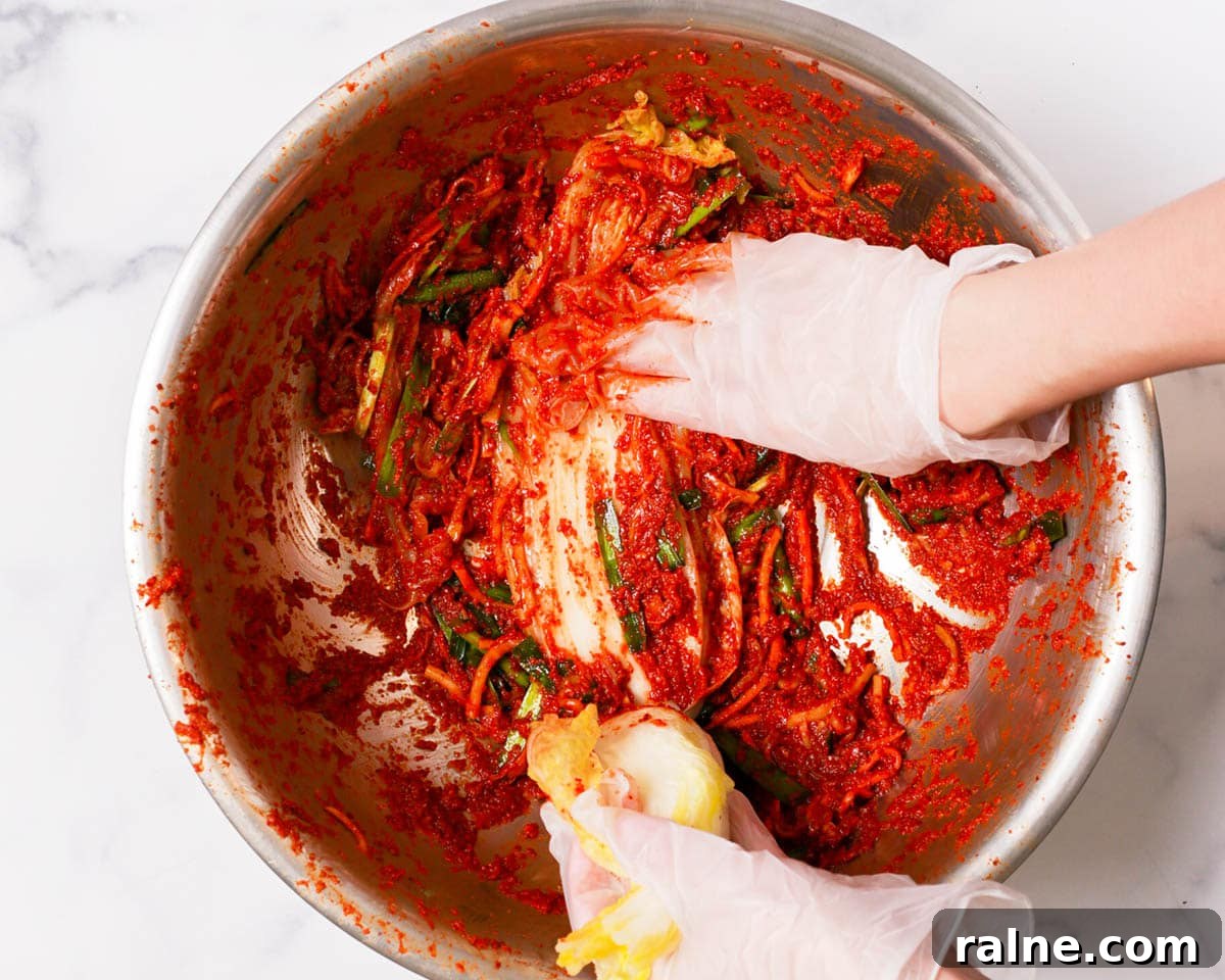 Napa Cabbage Kimchi Recipe: Authentic Homemade Kimchi Guide 25 Rubbing the kimchi marinade on salted napa cabbage.
