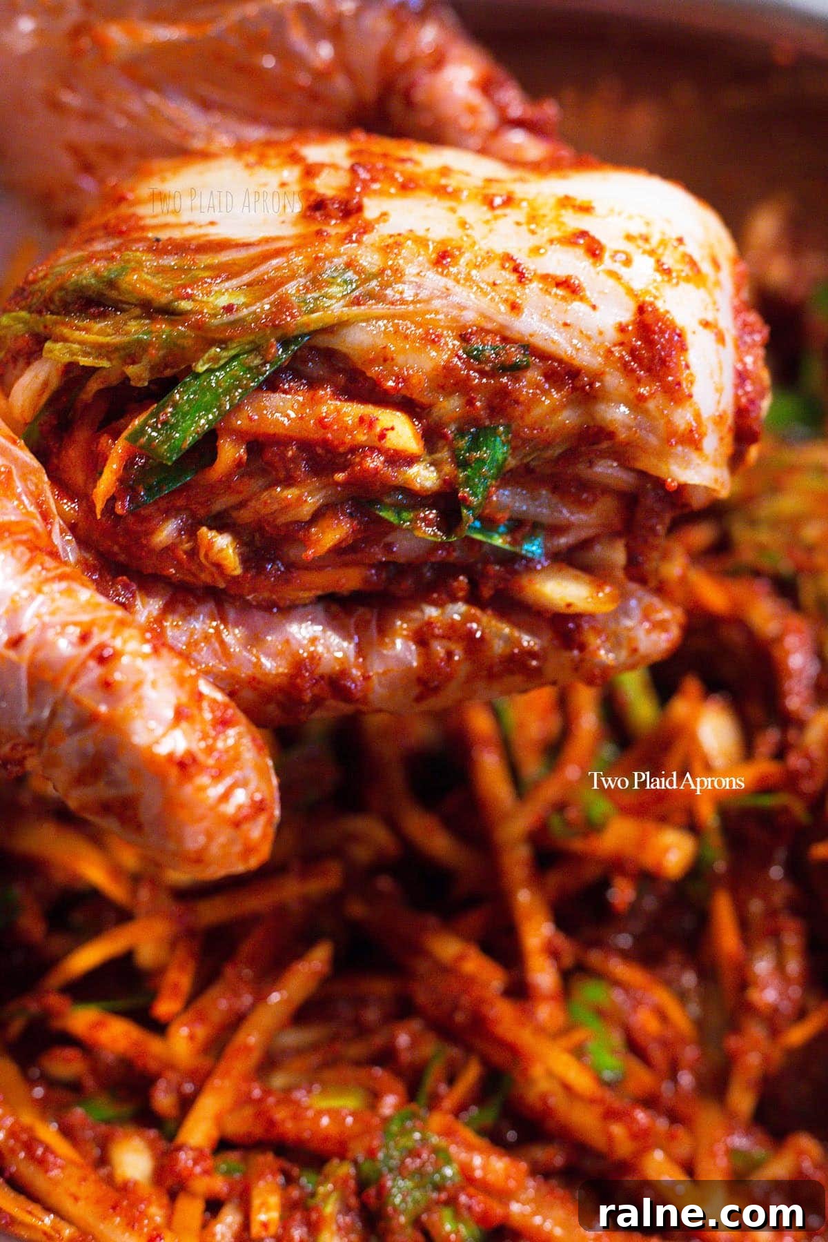 Napa Cabbage Kimchi Recipe: Authentic Homemade Kimchi Guide 26 img 1752 27