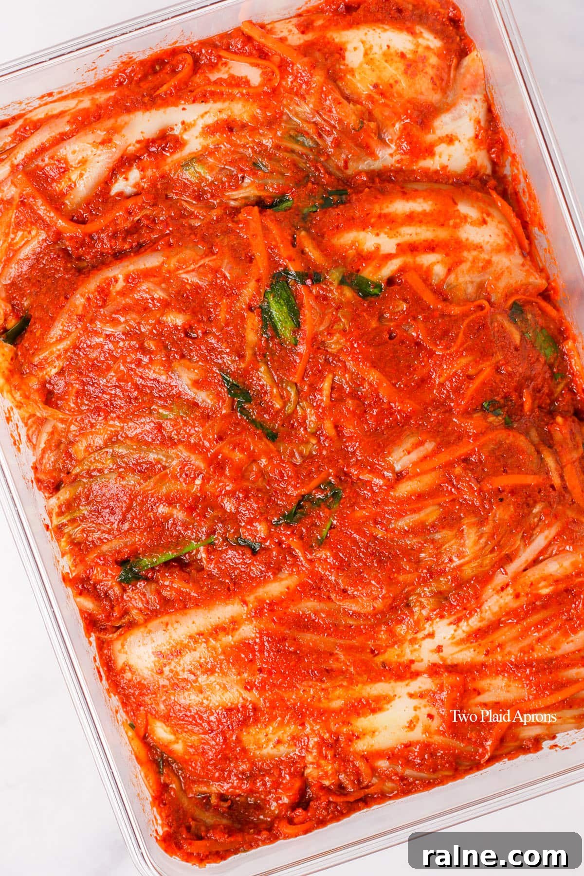 Napa Cabbage Kimchi Recipe: Authentic Homemade Kimchi Guide 28 Kimchi placed in container.