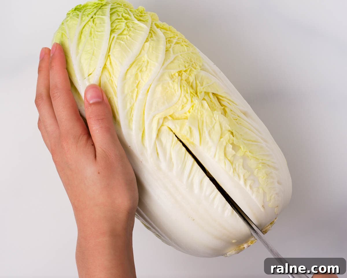 Napa Cabbage Kimchi Recipe: Authentic Homemade Kimchi Guide 9 Cutting napa cabbage mid way.