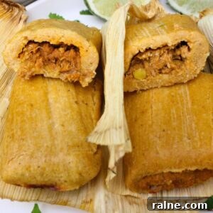 trader joes tamales in the air fryer recipe dinners done quick featured image