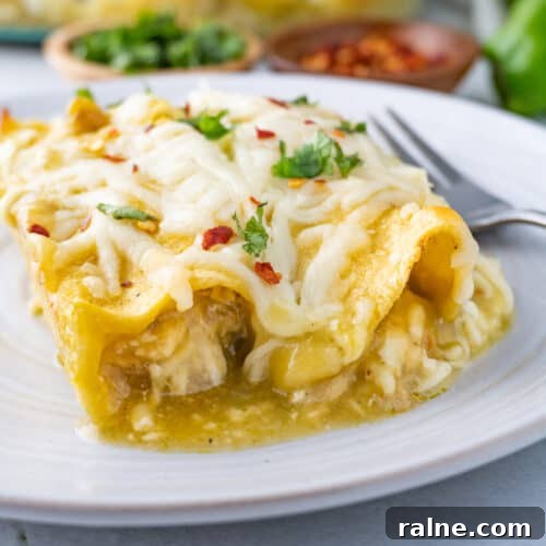 enchilada on plate featured image