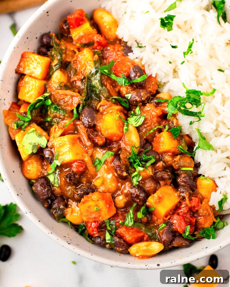 Delicious Sweet Potato Recipes for Every Meal 6 sweet potato chili served with rice