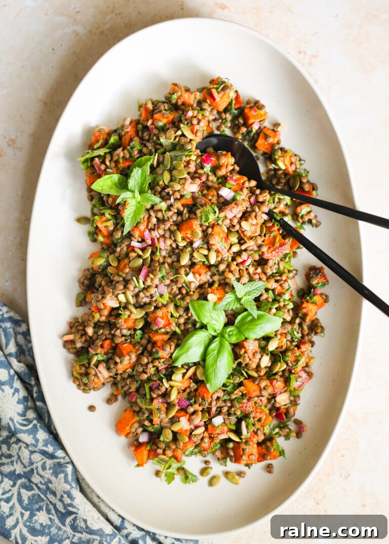 Delicious Sweet Potato Recipes for Every Meal 8 overhead lentil salad on platter