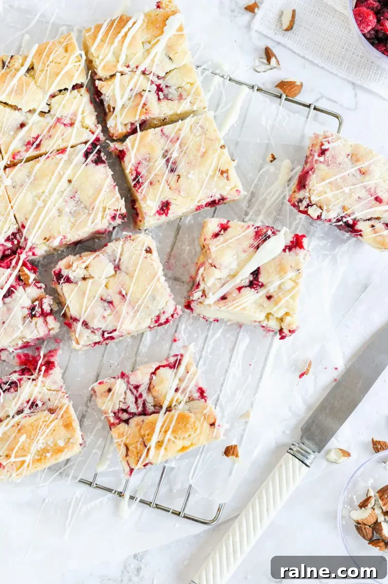 Raspberry Blondies with Oat Streusel — Chewy, Fruity Bars 3 An overhead picture of white chocolate and raspberry blondies on a metal cooling rack.