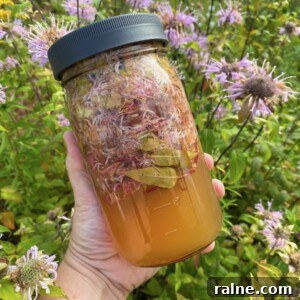 Bee Balm Oxymel: How to Make and Use Monarda Herbal Vinegar 9 Bee Balm Oxymel