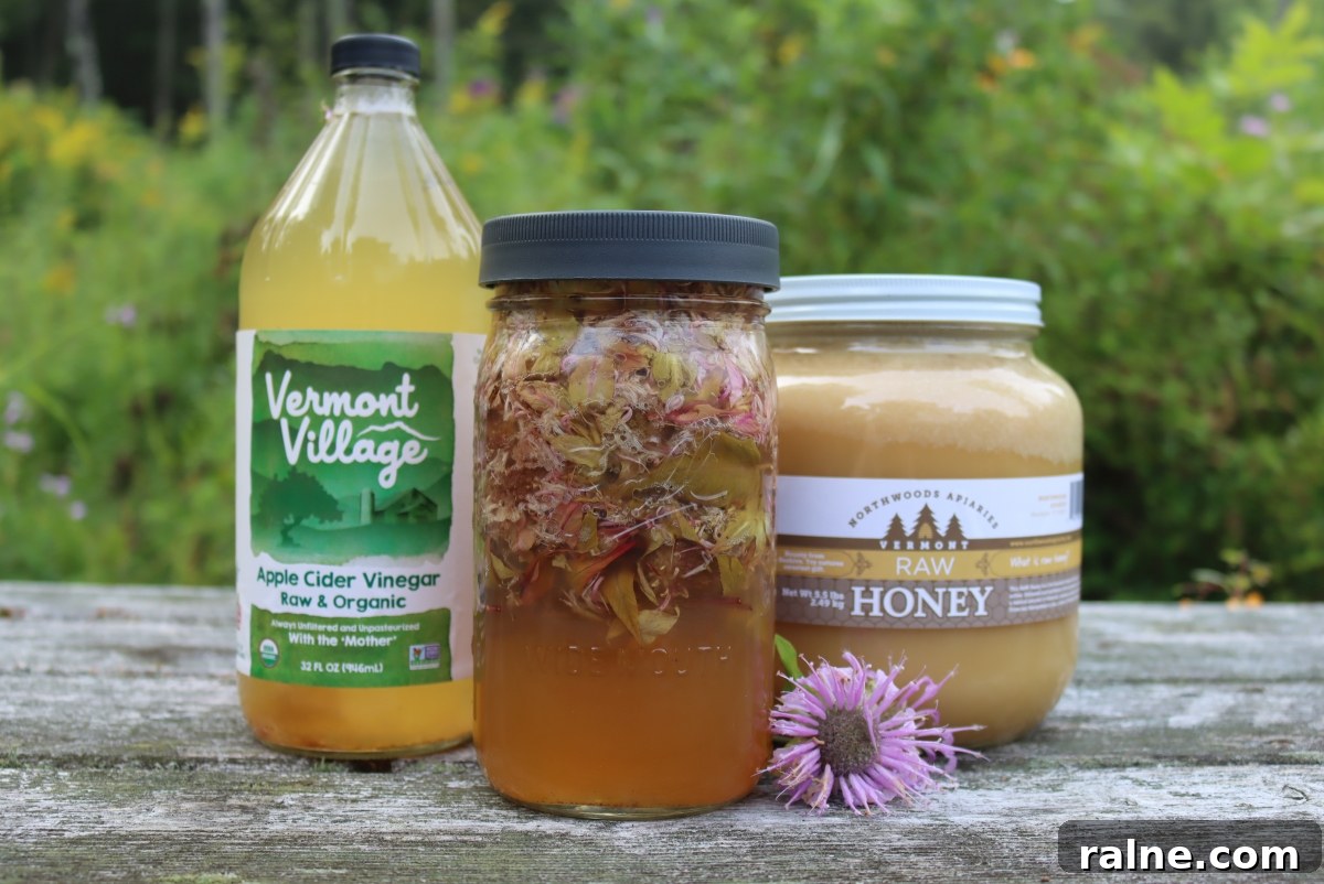 Bee Balm Oxymel: How to Make and Use Monarda Herbal Vinegar 3 Herbal Oxymel