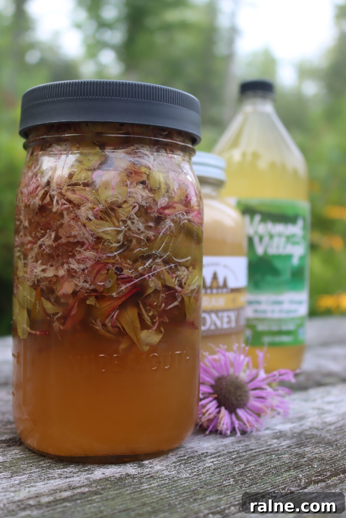 Bee Balm Oxymel: How to Make and Use Monarda Herbal Vinegar 8 Bee Balm Oxymel