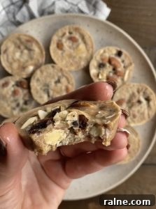 No-Bake Trail Mix Energy Bites: Portable Snack Recipe 3 Trail Mix Bites - Paleo, gluten-free, dairy-free, egg-free, with Keto, nut-free, and vegan options! A great healthy snack.