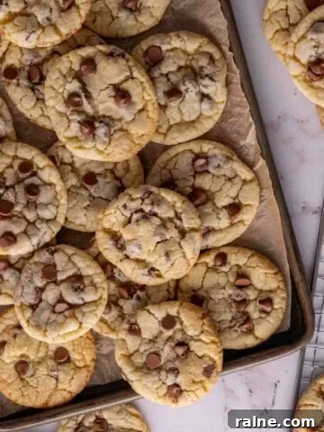 Sour cream chocolate chip cookies featured image.