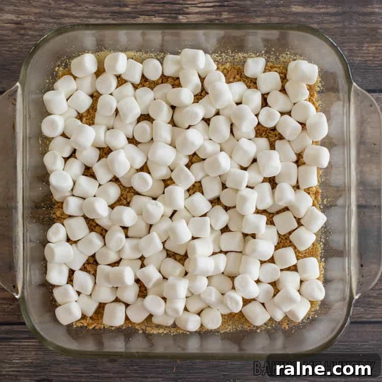 Decadent S'mores Casserole Recipe for Family Desserts 7 mini marshmallows on top of graham crumbs