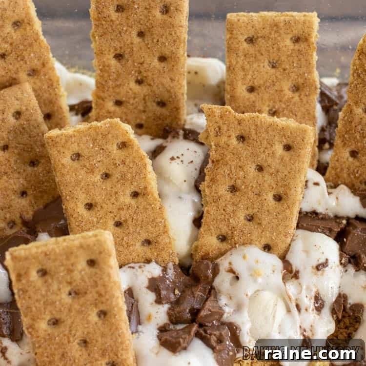 Decadent S'mores Casserole Recipe for Family Desserts 10 close up of smores casserole recipe as an oven baked s'mores dip