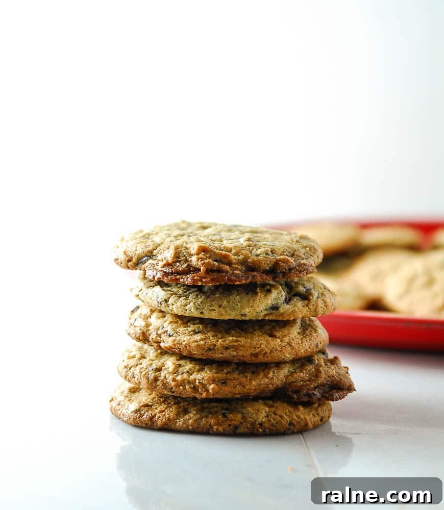 Vegan Peanut Butter Dark Chocolate Chunk Cookies remind @thefrostedvegan of springtime. Celebrate the new season with this vegan cookie recipe! Vegan Peanut Butter Dark Chocolate Chunk Cookies remind @thefrostedvegan of springtime. Celebrate the new season with this vegan cookie recipe!