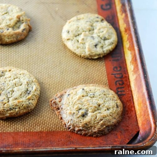 Vegan Peanut Butter Dark Chocolate Chunk Cookies — Chewy & Rich 2 Vegan Peanut Butter Chocolate Chunk Cookies // @frostedvegan for @speckledpalate