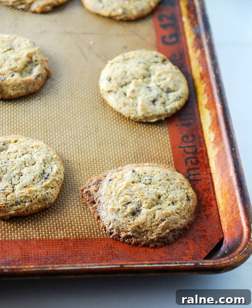 Vegan Peanut Butter Dark Chocolate Chunk Cookies remind @thefrostedvegan of springtime. Celebrate the new season with this vegan cookie recipe! Vegan Peanut Butter Dark Chocolate Chunk Cookies remind @thefrostedvegan of springtime. Celebrate the new season with this vegan cookie recipe!