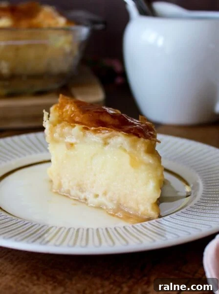 Orange Semolina Cake (Portokalopita) 15 Galaktoboureko, a Greek classic dessert filled with phyllo and a custard filling.