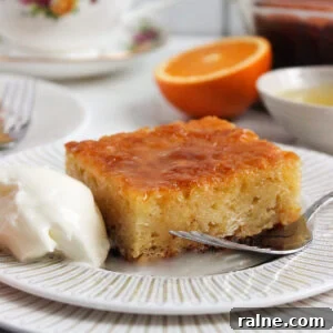 Orange Semolina Cake (Portokalopita) 20 Portokalopita