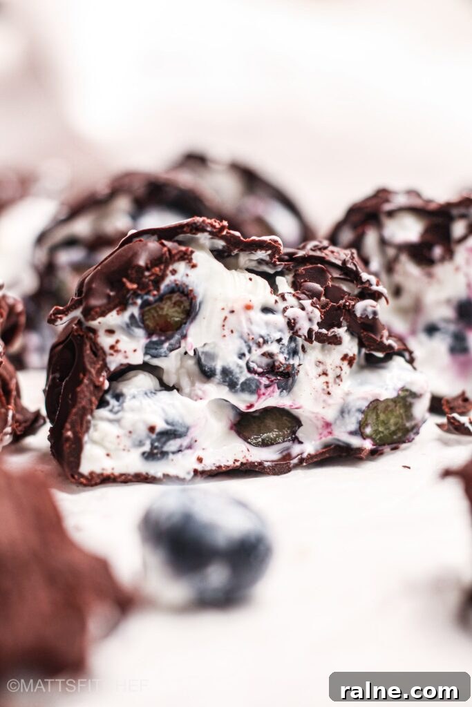 Blueberry Yogurt Clusters Recipe — No-Bake Snack Bites 2 Blueberry Yogurt Clusters